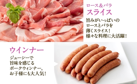 豚肉セット 4種の豚肉 ウインナー ロース バラ 岐阜県産 豚肉セット【2.6kg(ロース・バラ各500g ウインナー300g×2袋)】【定期便 全6回】