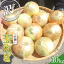 【ふるさと納税】 ＜訳アリ＞ うまみたっぷり！ 不揃い 玉ねぎ 10kg たまねぎ タマネギ 玉葱 野菜 F6Q-151