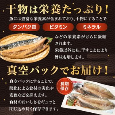 ふるさと納税 南房総市 さば文化干し2枚入り×3パック(ノルウェー産)★大日本水産会会長賞★　mi0012-0103 |  | 03