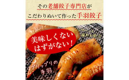 【宮崎空港で大人気!】TV某番組で餃子日本一獲得!＜馬渡の手羽餃子18本＞翌月末迄に順次出荷 餃子の馬渡 手羽先餃子 国産100％ 宮崎餃子 ギョウザ ギョーザ おかず もっちり 国産 特産品 宮崎県