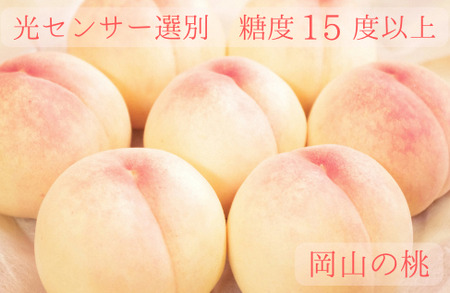 樹熟し 白桃 2kg 糖度15度以上 【極甘】 ＜7月下旬頃から9月上旬頃発送＞ _S117