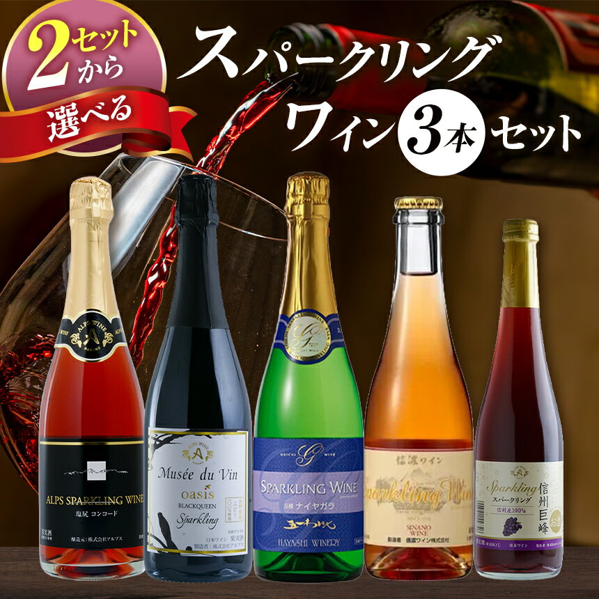 【ふるさと納税】選べるセット！塩尻産スパークリングワイン 3本セット 2種 | ワイン わいん スパークリング アルプス 五一わいん 林農園 信濃ワイン ロゼ 信州巨峰 ナイヤガラ コンコード ブラッククイーン 塩尻市 長野県
