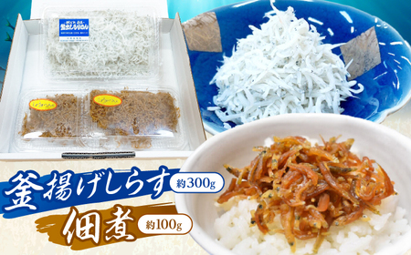 釜揚げしらす（約300g）と佃煮（約100g）セット/森国商店&nbsp;浜で瞬時に釜出し&nbsp;高知のしらす【グレイジア株式会社】[ATAC488]