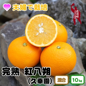 久幸園 完熟紅八朔 10kg　※2025年3月中旬～順次発送予定　※着日指定不可【hsk022-beni-10】