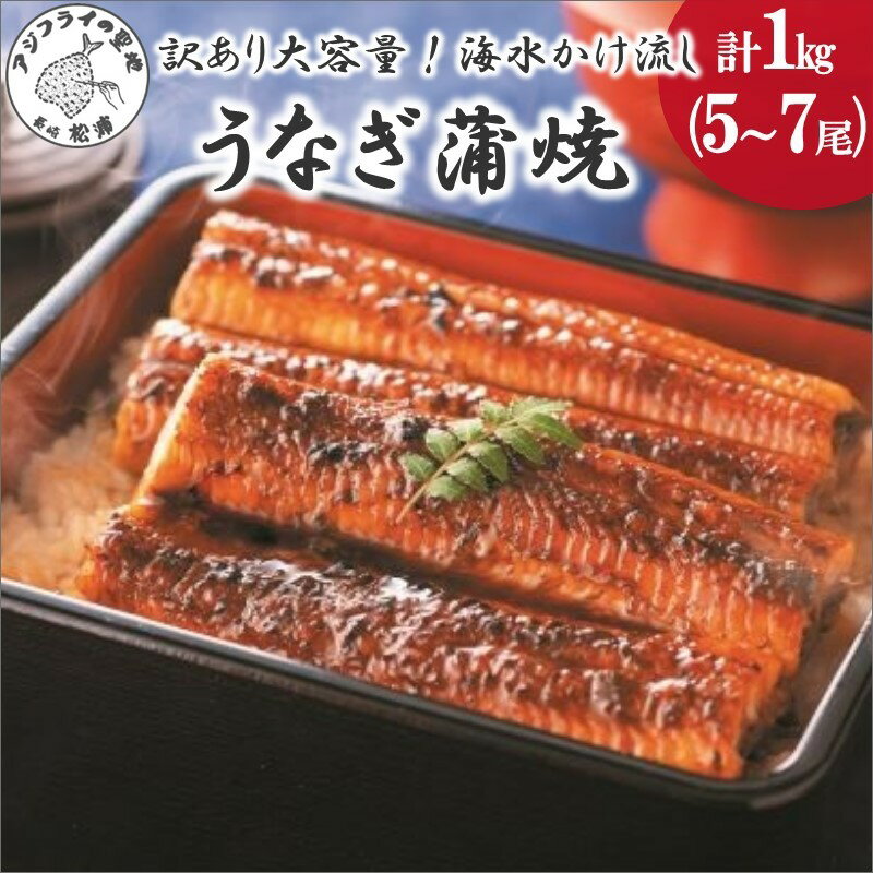 【ふるさと納税】訳あり大容量！海水かけ流しうなぎ5尾〜7尾【F0-008】 うなぎ 訳あり 国産 ウナギ 鰻 蒲焼き 蒲焼 かば焼き うなぎ蒲焼 養殖 産地直送 魚 魚介類 海の幸 不揃い 規格外 ふるさと納税 訳あり海鮮 丼 松浦 直送 大容量