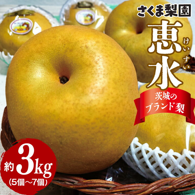 【ふるさと納税】さくま梨園 恵水梨 梨 旬 果物 フルーツ ギフト 贈答用 茨城県 笠間市