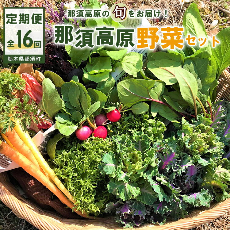 【ふるさと納税】【全16回定期便】那須ブランド 那須高原野菜セット（5月後半1回、6月～12月各月2回、翌年1月1回）｜ 野菜 お野菜 新鮮 詰め合わせ やさい みずみずしい 美味しい〔P-66〕※北海道・沖縄・離島への配送不可 ※2026年5月中旬～2027年1月下旬頃に順次発送予定