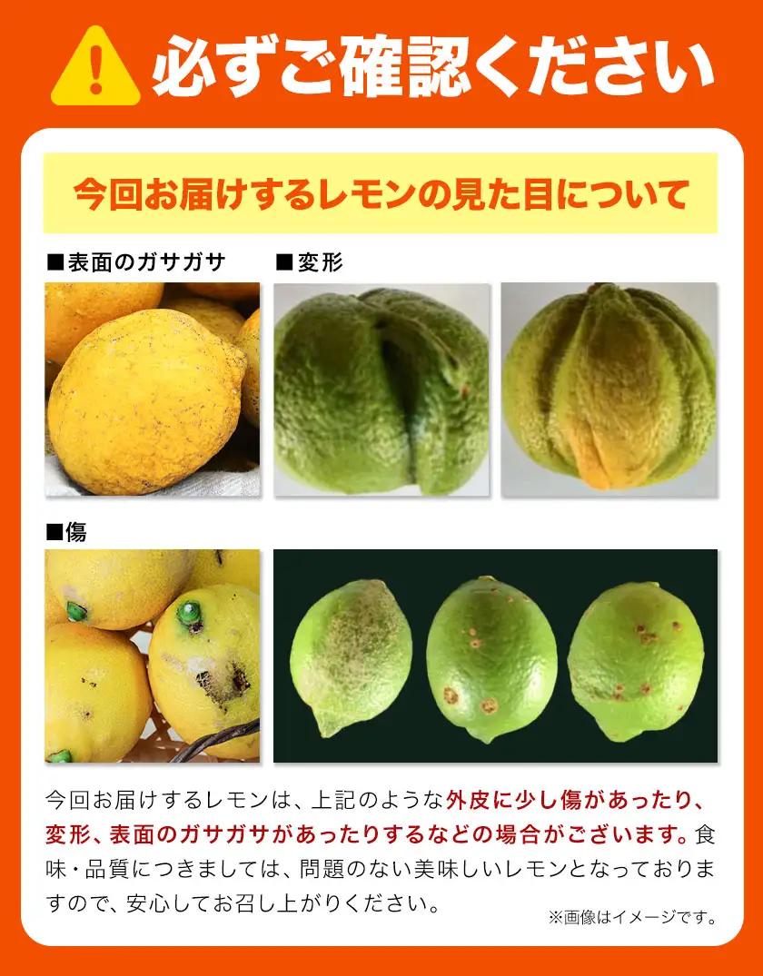 訳あり 国産 レモン サイズ混合 3kg エイワ商店 檸檬 レモン