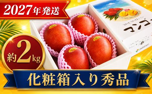 ＜2027年発送＞アップルマンゴー約2kg【化粧箱・秀品】