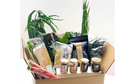 ＜週5セット限定＞アンチョビ・バーニャカウダ＆松山市産野菜セット | 野菜 旬の食材 旬の野菜 季節野菜 オイル漬け あんちょび じゃこ ちりめん干し しらす干し しらす 魚介 海鮮 おすすめ 人気 ギフト セット 愛媛県 松山市