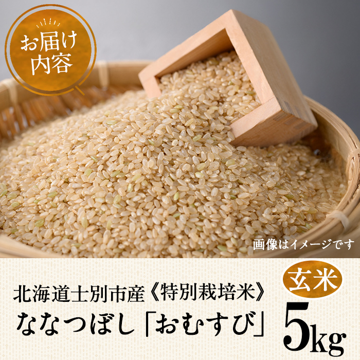 《特別栽培米》北海道士別市産 ななつぼし 玄米 「おむすび」 (5kg) 数量限定 米 お米 玄米 道産米 北海道米 ごはん おこめ コメ 【高松農園】【B7145】