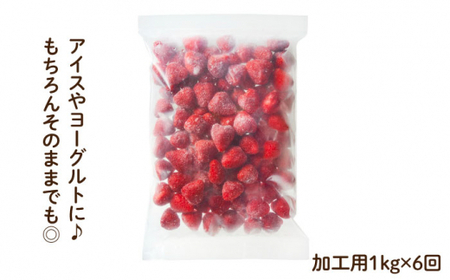 【全6回定期便！濃厚な味わい！】冷凍いちご「博多あまおう」1kg（加工用）＜やまや＞ 那珂川市 定期便 いちご フルーツ 果物 あまおう 九州産 苺 国産 56000 56000円 [GAK038]