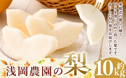 浅岡農園の梨 約10kg 梨 なし ナシ くだもの 果物 フルーツ 果実 和梨 王秋 にっこり 愛宕 大分県 九重町  【2026年11月下旬発送予定】