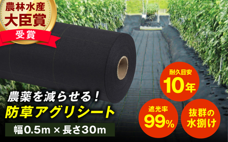 防草アグリシート（BB2218・耐久目安10年・幅0.5m×長さ30m）/ 防草シート 除草[AFCA010]