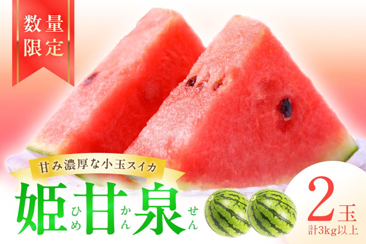 【先行予約／数量限定30】小玉スイカ　姫甘泉2玉(2026年7月中旬～発送)　FK00026