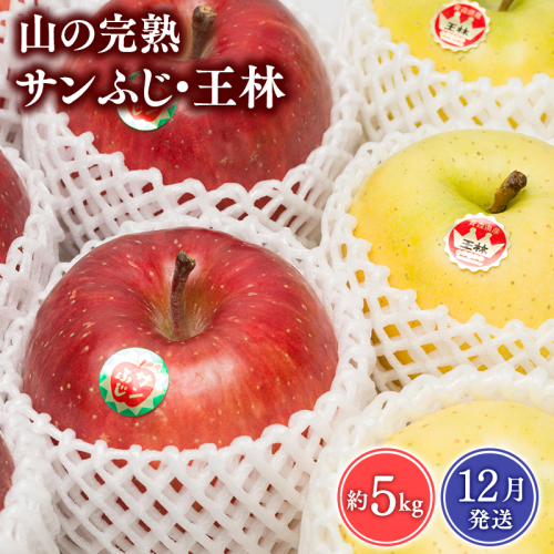 【2026年12月発送】  吹田りんご園　山の完熟サンふじ・王林約5kg【吹田りんご園・青森りんご・平川市広船産・12月】
