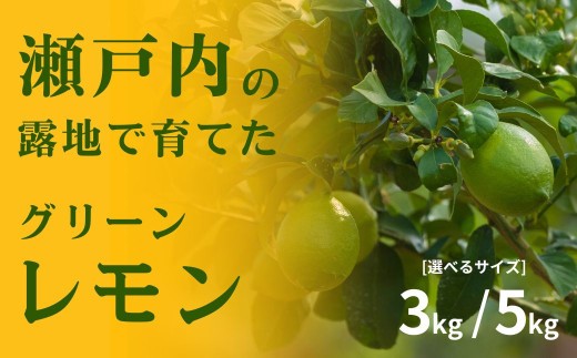 
                  【 先行予約 】 瀬戸内の露地 グリーンレモン 選べる 約3kg/5kg 【 2026年10月末～11月下旬発送 】 皮まで丸ごと食べられる ワックス不使用 防腐剤不使用 広島 大崎上島 せとうちレモン 岩崎農園 国産 送料無料 産地直送 フルーツ 果物 お取り寄せ 秋 旬
                
