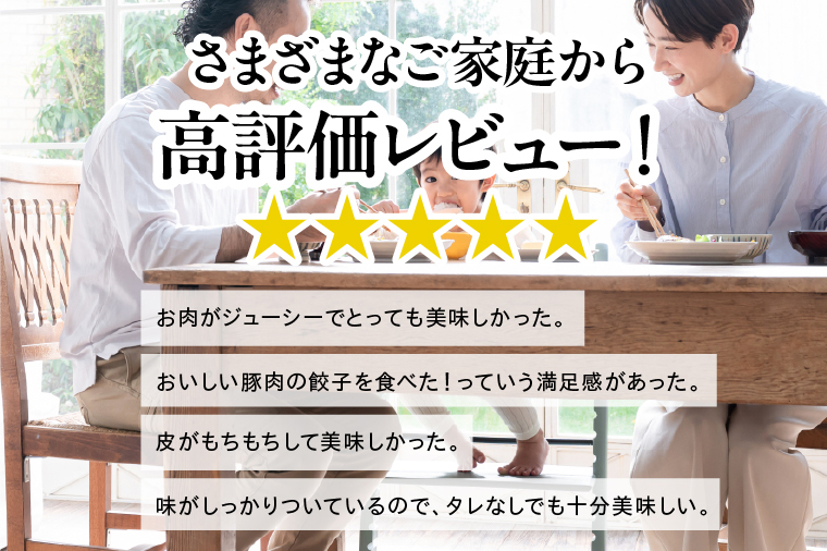 【2026年2月以降より順次発送】美明豚スープ餃子 1袋(和風醤油スープ)｜餃子 ぎょうざ ギョウザ スープ餃子 美明豚 茨城県 行方市(HJ-6)