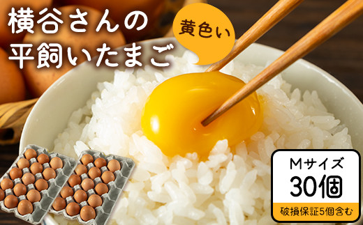 横谷さんの平飼いたまご Mサイズ30個入り 破損保証5個含む 山江村ヤマメ生産組合《30日以内に出荷予定(土日祝除く)》卵 たまご タマゴ 熊本県山江村