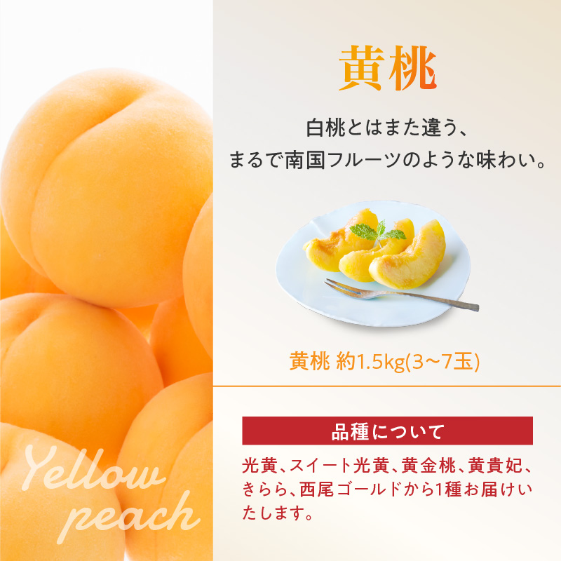 《先行受付》白桃と黄桃詰合せ3kg【2026年8月頃より順次発送予定】