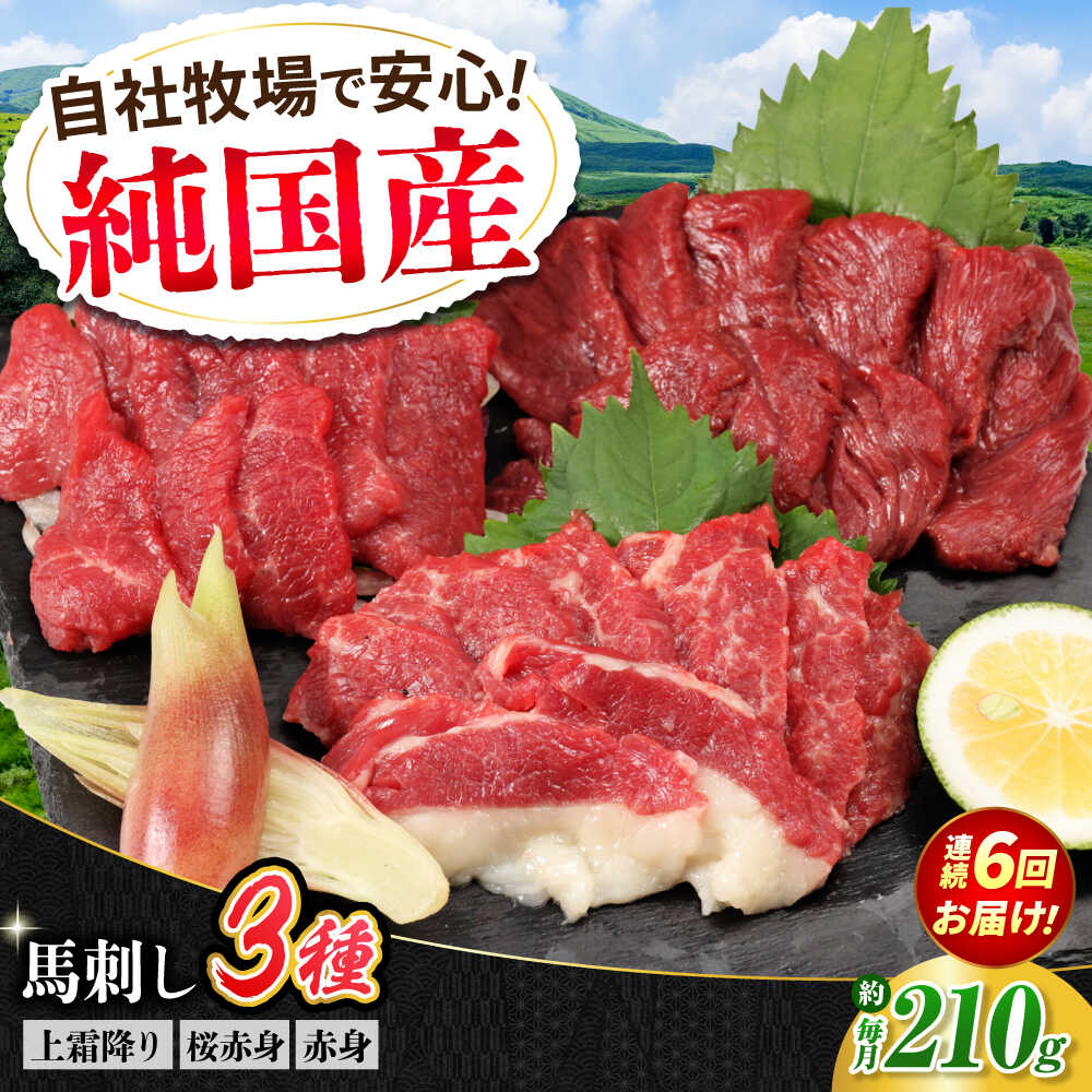 【ふるさと納税】【全6回定期便】『純国産』熊本の味 馬刺し お試し 3種 セット 計約210g（2〜3人前）上霜降り 霜降り 赤身 馬さし 馬肉 おためし 熊本 合志 冷凍 定期【有限会社 九州食肉産業】[AYCN071] 食べ比べ 馬刺 ばさし 国産 熊本県