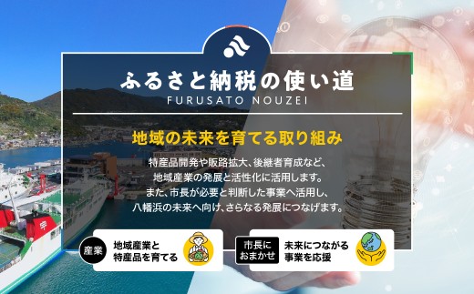 無添加・天日干しピチピチ朝獲れ鮮魚の一夜干し13枚セット【H26-4】 YWTAK004