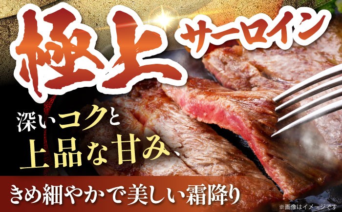霜降り サーロインステーキ A5 牛肉 黒毛和牛 佐賀 和牛 ギフト お祝い 贈答 ステーキ サーロイン 佐賀牛 定期便 定期