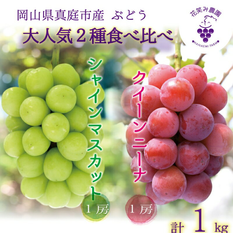 【ふるさと納税】 岡山　花笑み農園の『シャインマスカット＆クイーンニーナ』1kg（2房）QS-1 hana66【2025年9月中旬〜順次発送】真庭 国産 産地直送 フルーツ 葡萄 ブドウ 果物 贈答 ギフト 先行予約 おすすめ 種なし 食べ比べ ぶどう【配送不可地域：離島】【1596615】