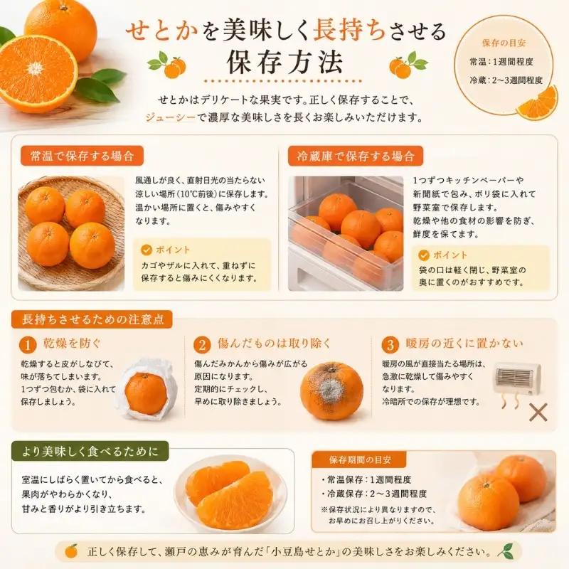 せとか 柑橘 フルーツ 小豆島産 せとか【約5kg】
