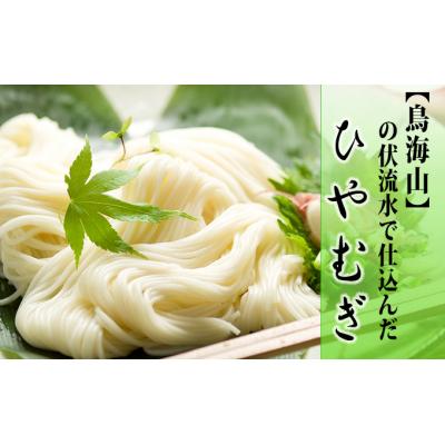 ふるさと納税 にかほ市 ひやむぎ220g×5束(10人前 冷麦 冷や麦)[No.5685-2130]