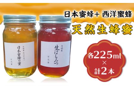 蜂蜜 2本 日本蜜蜂+西洋蜜蜂 8月ごろ発送 はちみつ 生蜂蜜