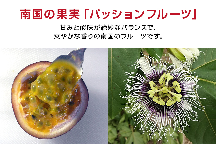 【2025年発送】糸満産　糸ちゃんパッションフルーツ＜訳あり／3kg＞ 104-1