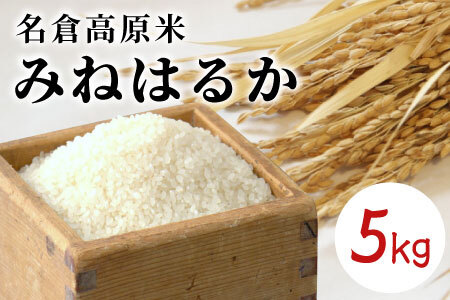 令和7年度産★順次発送～名倉高原米「みねはるか」5kg -016