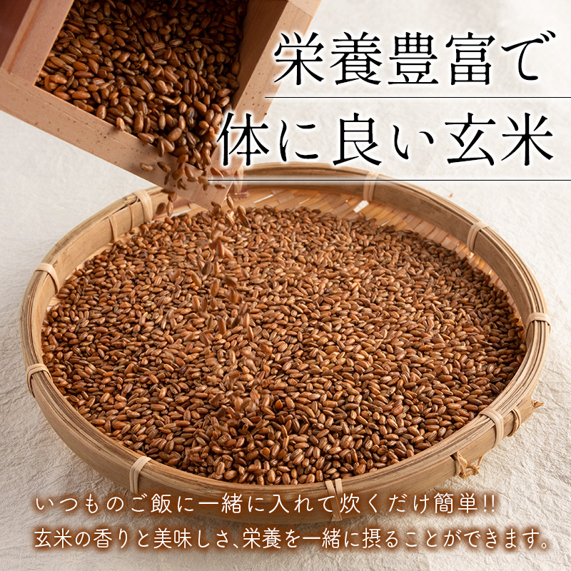 煎り玄米 5袋セット【A268】_イメージ2