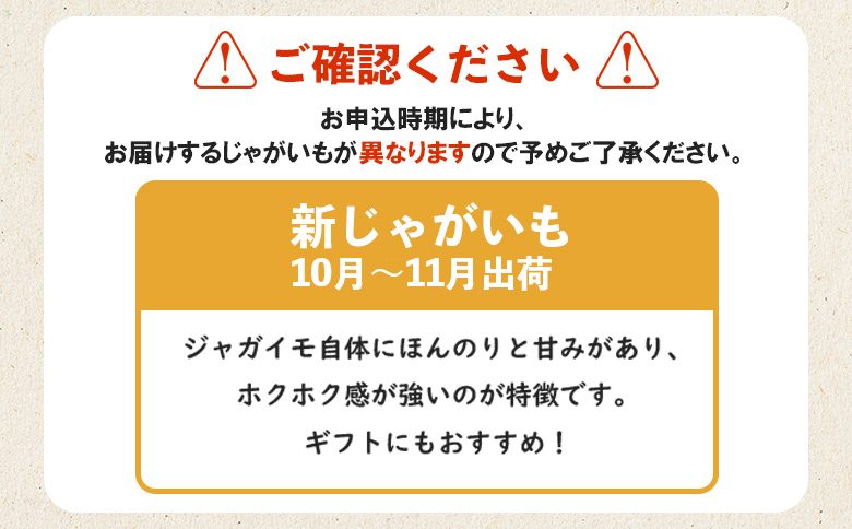新じゃがいも（男爵） 10kg【2401501】