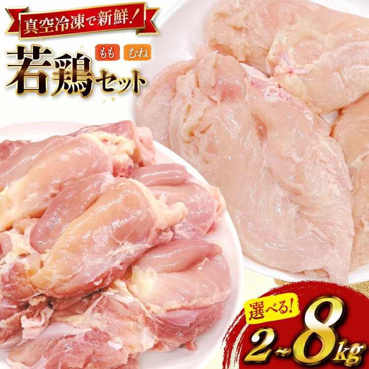 【ふるさと納税】 鶏肉 セット 選べる 内容量 宮崎県産 若鶏 もも身 むね身 2kg 4kg 8kg セット [TRINITY 宮崎県 日向市 452061378] もも 小分け むね肉 もも肉 とり肉 むね 鶏肉もも 宮崎