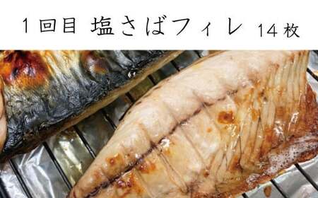 魚 魚貝 海鮮 鰻 うなぎ サバ 鯖 鮭 サケ 定期便  /【全3回定期便】和歌山からお届け おさかな定期便　サバ・ウナギ・サケ【tkb131】