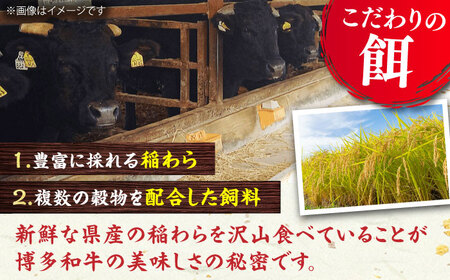 博多和牛 肩ロース 400g すき焼き 焼肉 和牛 牛肉 九州産 国産　広川町 / ワイエスフード株式会社[AFAE003]