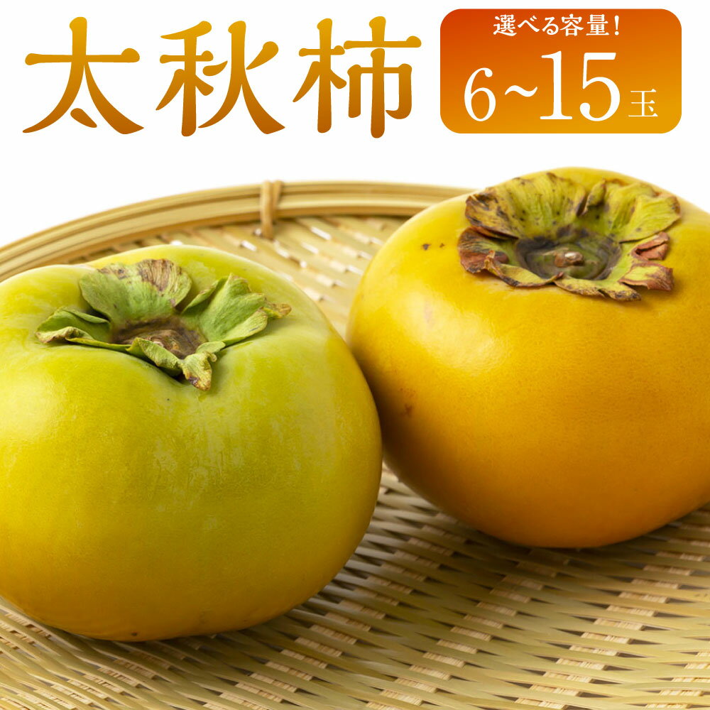 【ふるさと納税】【先行予約】渡辺農園 太秋柿 6玉前後・9玉前後・12玉から15玉 2025年10月中旬から10月下旬 出荷予定
