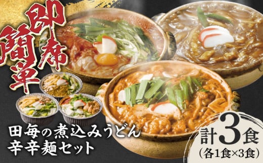 うどん 岐阜の味　田毎の煮込みうどん辛辛麺セット 即席 カンタン 麺 うどん カレーうどん ピリ辛味噌煮込みうどん ピリ辛スタミナ牛もつ煮込みうどん 激辛 旨辛 冷凍麺 3種類 詰め合わせ 食べ比べ 簡単調理 時短 鍋不要 水不要 老舗の味 名店 グルメ お取り寄せ ギフト プレゼント 贈り物 贈答 お返し 内祝い お祝い おすすめ 人気 岐阜市 / ラボレムス [ANFP004]