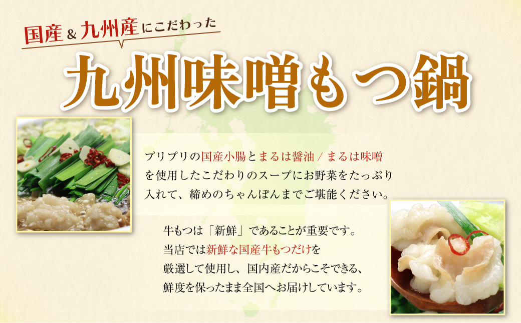 おどろきっちん 【訳あり】もつ鍋(味噌)10人前 訳あり10人前・味噌