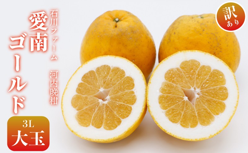 
                  訳あり 愛南ゴールド（河内晩柑） 9kg 12000円 (大玉)サイズ3L  わけあり かわちばんかん 愛南ゴールド みかん 夏 文旦 和製 グレープフルーツ 家庭用 産地直送 国産 農家直送 期間限定 数量限定 ビタミン 健康 おいしい みかん 特産品 ゼリー ジュース アイス 等に 人気 限定 さわやか 甘い フルーツ 果物 柑橘 mikan 蜜柑 ミカン 規格外 石川ファーム 愛南町 愛媛県
                