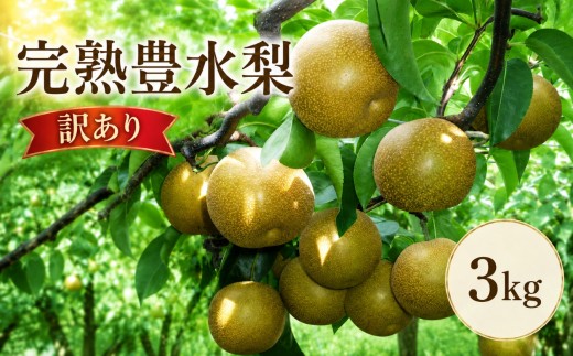 【先行予約】【訳あり】大内農園の源流山育ち 完熟 豊水梨 約3kg【数量・期間限定】 | フルーツ 果物 くだもの 梨 なし ナシ 和梨 豊水 3kg 3キロ 訳あり 大内農園 国産 大分県 中津市