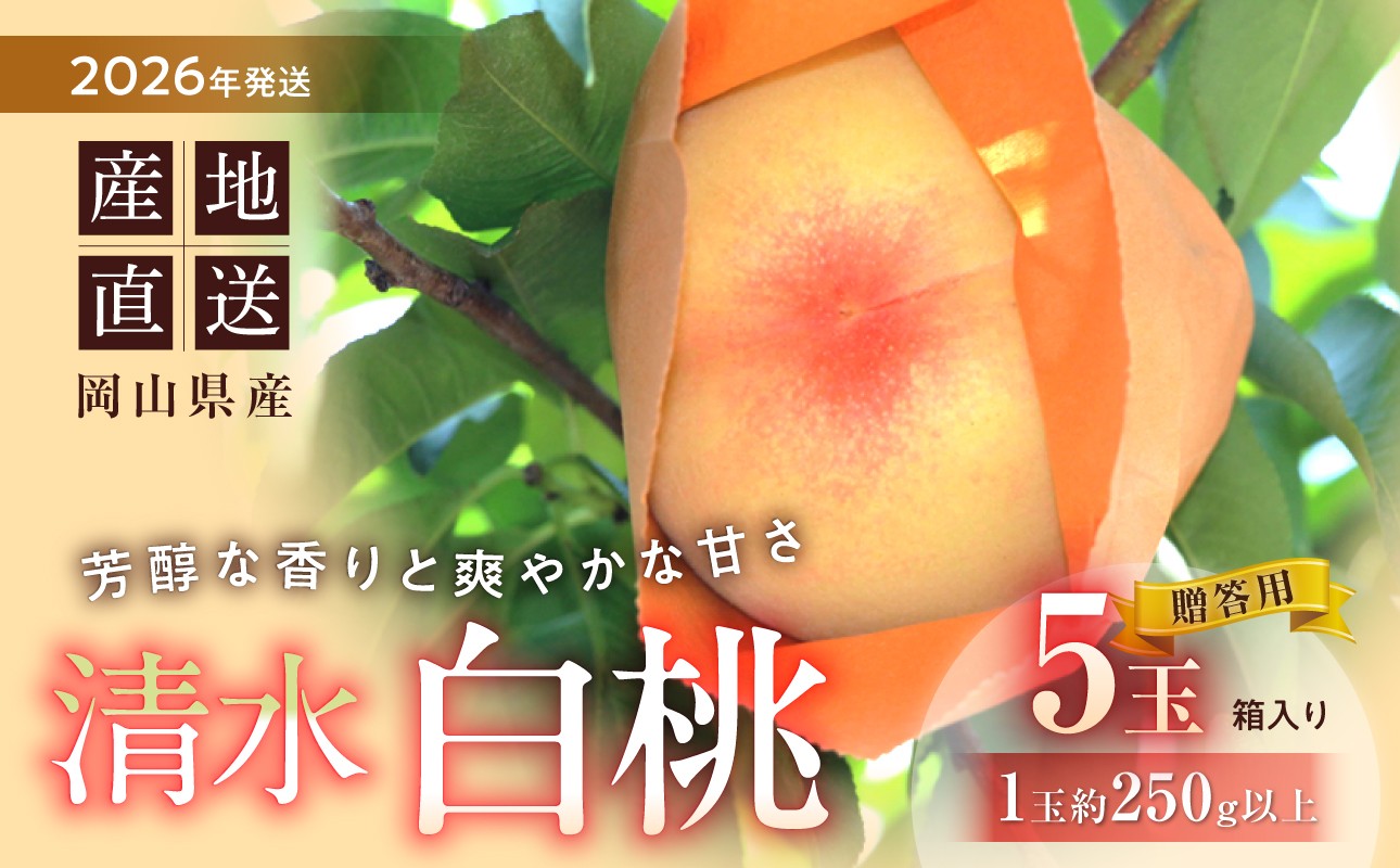 
                  【2026年発送】清水白桃　5玉入り（7月下旬～8月初旬頃発送）【 清水白桃 晴れの国おかやま 白桃 桃 もも 岡山白桃 フルーツ 果物】
                