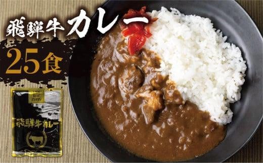 【3月発送】飛騨牛カレー (25袋) ビーフカレー 飛騨牛カレー 簡易包装 レトルトカレー ふるさと清見 DC008VC03