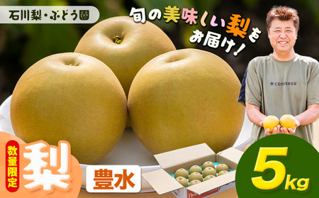 【先行予約・数量限定】豊水 梨 5kg 石川梨・ぶどう園 果物 フルーツ 贈り物 お取り寄せ フルーツ 【配送不可地域あり】（離島）