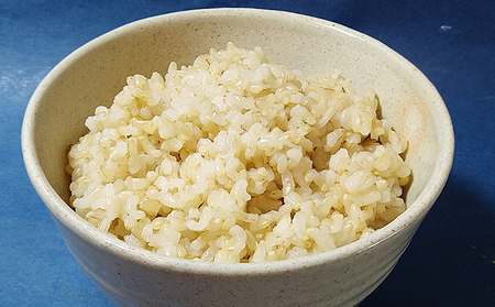 【定期便3回】雄踏ファームカモ産　玄米「特選みつばちまもる米」5kg コシヒカリ（3ヶ月連続・合計15kg）