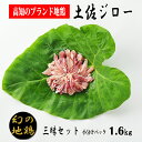 【ふるさと納税】04-09:土佐ジロー三昧セット【冷凍】　炭火焼きや唐揚げ、バーベキュー、親子丼などにおすすめ　鶏肉　ブランド地鶏　高知県安芸市　送料無料