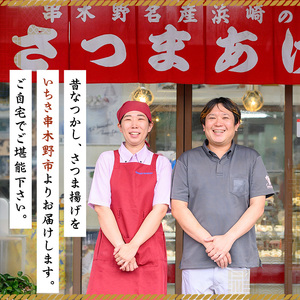 ☆大容量☆浜崎蒲鉾 の さつま揚げ 7種 計67枚入り！定番 の 棒天 や にんにくの利いたオリジナルさつま揚げ「珍棒羅」など バラエティに富んだ 食べ比べ セット です。鹿児島県産 串木野 冷蔵 串