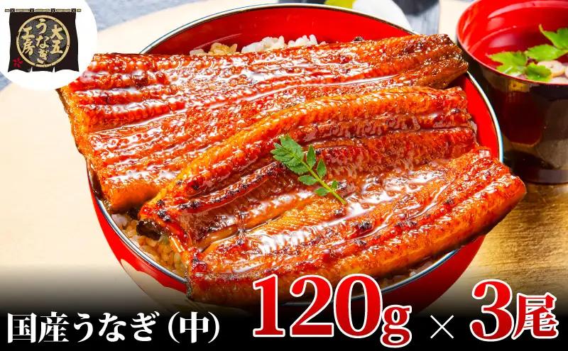 うなぎ 国産 蒲焼 120g×3尾 360g 大五 大五通商 うなぎ